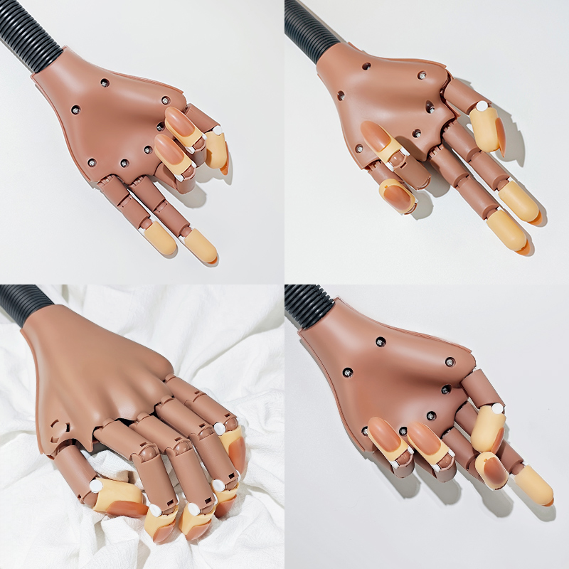 Nagel Fake Praxis Hand bewegli – Vet Tech Accessories Bewertung und Preis